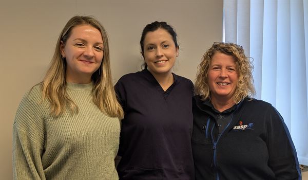 Meet the Team